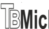 Logo_TBMichel-GmbH-e1502350467621